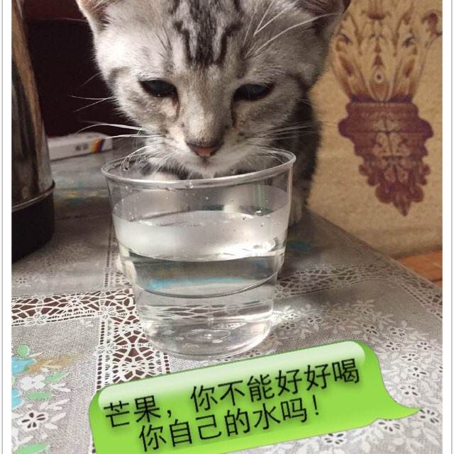 学位证书照片可以戴眼镜吗